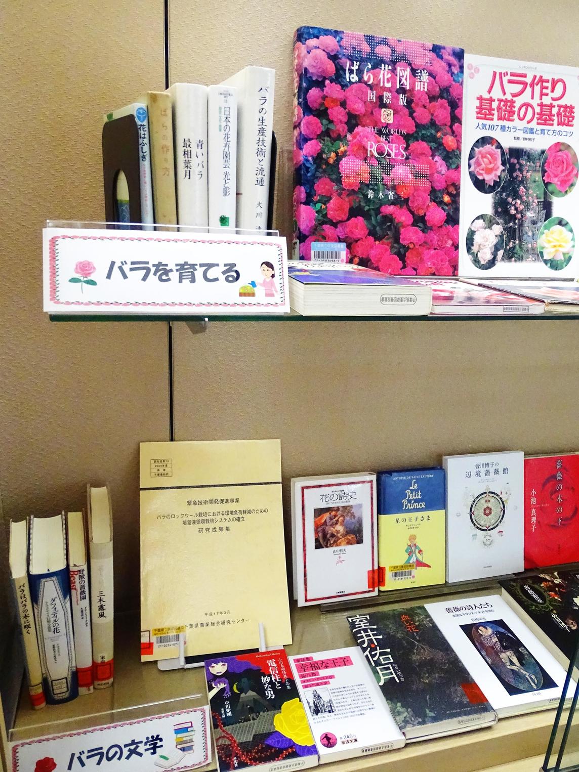 http://www.library.pref.chiba.lg.jp/information/east/DSC00806.JPG