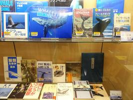 ガラス展示｢鯨の世界へ｣写真3