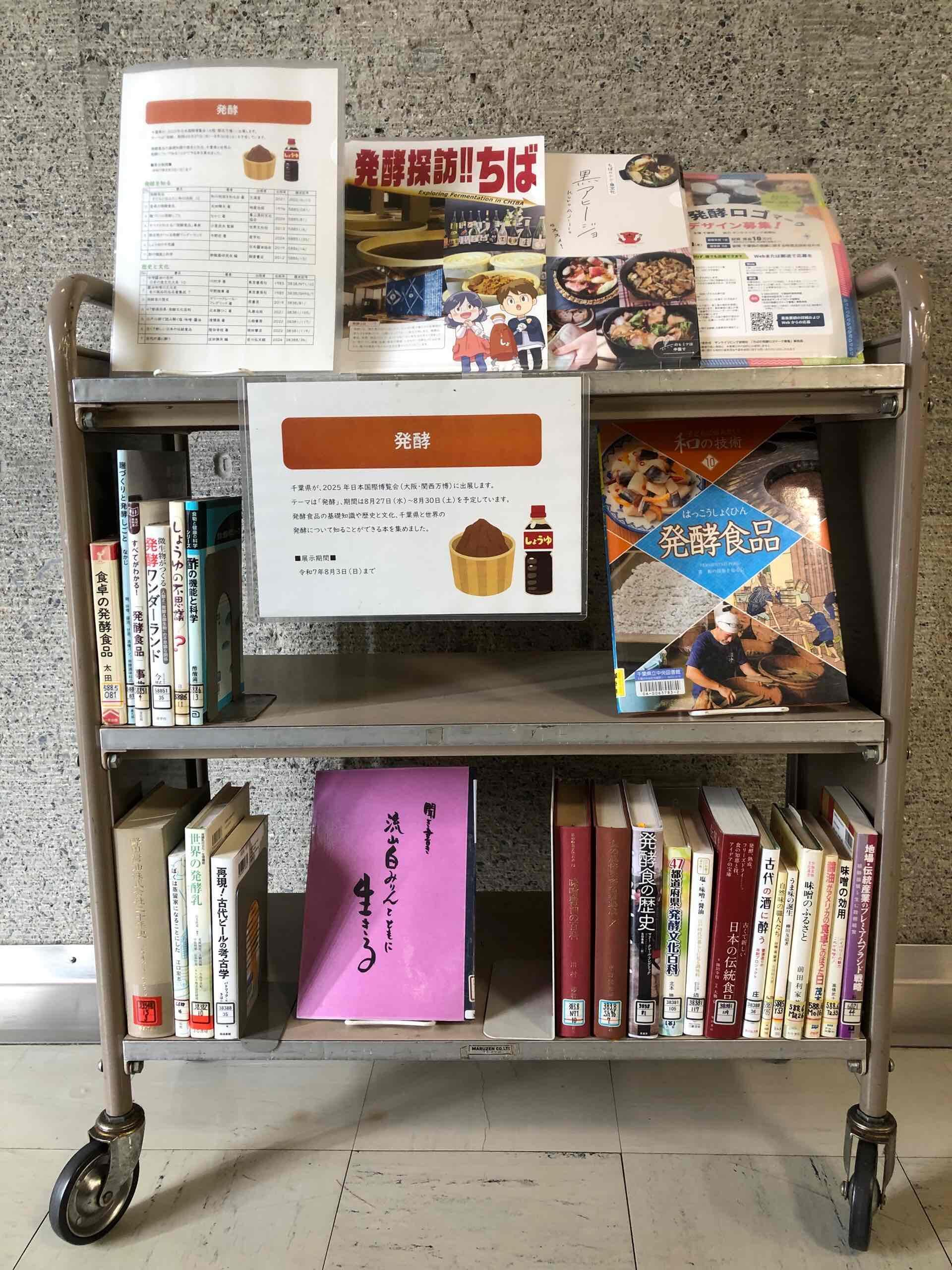 展示風景