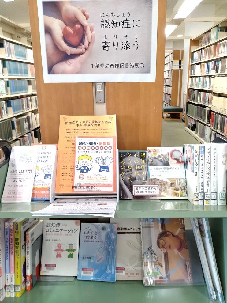 展示の様子